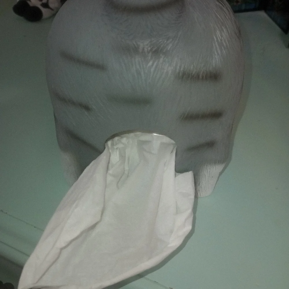 Cat Tissue Holder